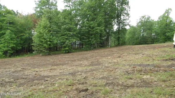 $159,000 | 442 Vly Vw Circle, Wilder, TN 38589