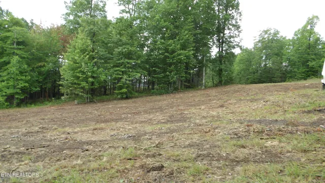 $159,000 | 442 Vly Vw Circle, Wilder, TN 38589