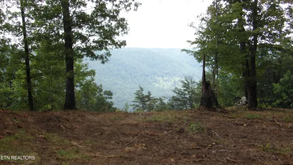 $159,000 | 442 Vly Vw Circle, Wilder, TN 38589