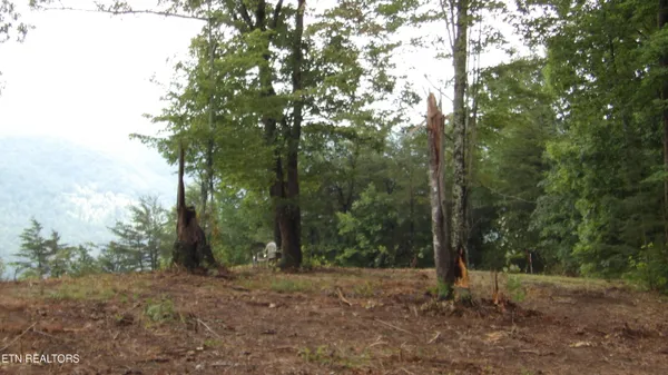 $159,000 | 442 Vly Vw Circle, Wilder, TN 38589