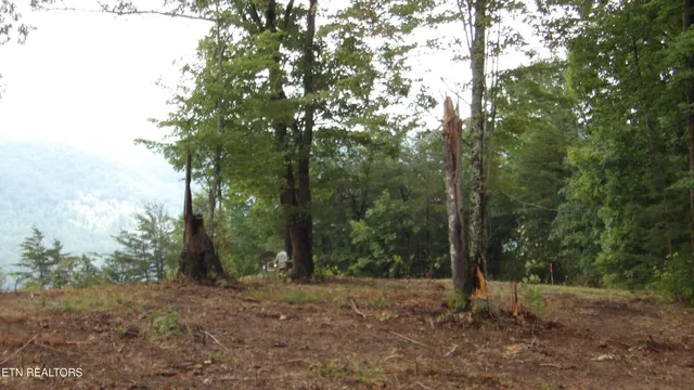 $159,000 | 442 Vly Vw Circle, Wilder, TN 38589