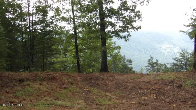 $159,000 | 442 Vly Vw Circle, Wilder, TN 38589