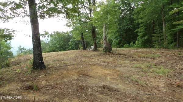 $159,000 | 442 Vly Vw Circle, Wilder, TN 38589