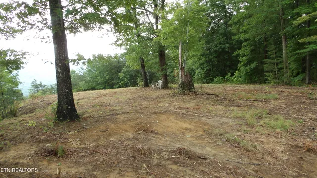 $159,000 | 442 Vly Vw Circle, Wilder, TN 38589