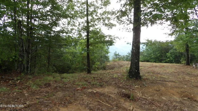 $159,000 | 442 Vly Vw Circle, Wilder, TN 38589
