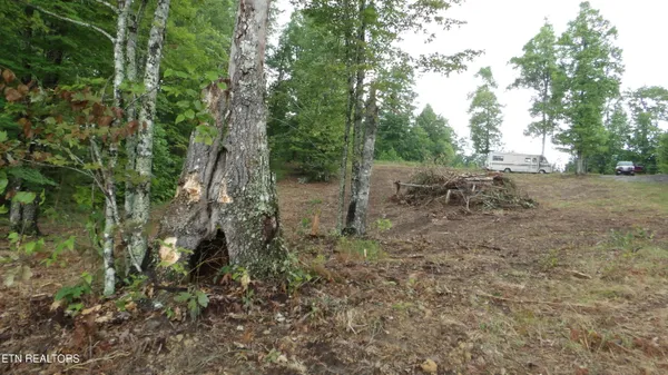 $159,000 | 442 Vly Vw Circle, Wilder, TN 38589