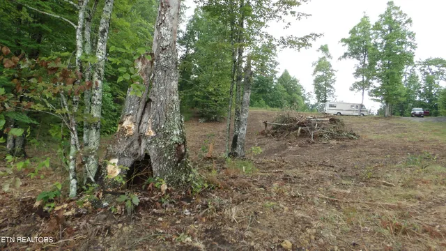 $159,000 | 442 Vly Vw Circle, Wilder, TN 38589