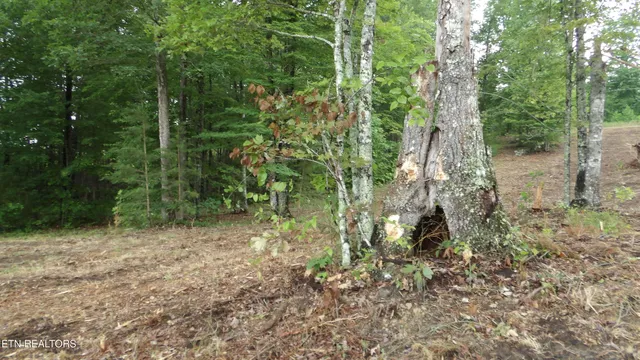 $159,000 | 442 Vly Vw Circle, Wilder, TN 38589