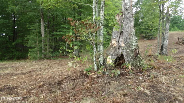 $159,000 | 442 Vly Vw Circle, Wilder, TN 38589