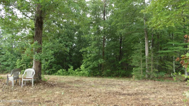 $159,000 | 442 Vly Vw Circle, Wilder, TN 38589