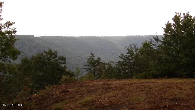 $159,000 | 442 Vly Vw Circle, Wilder, TN 38589