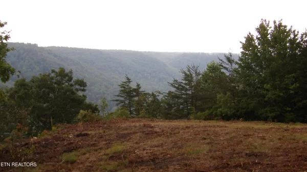$159,000 | 442 Vly Vw Circle, Wilder, TN 38589