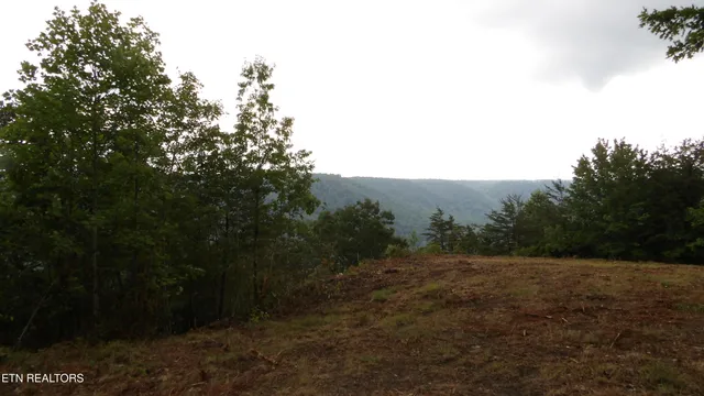 $159,000 | 442 Vly Vw Circle, Wilder, TN 38589