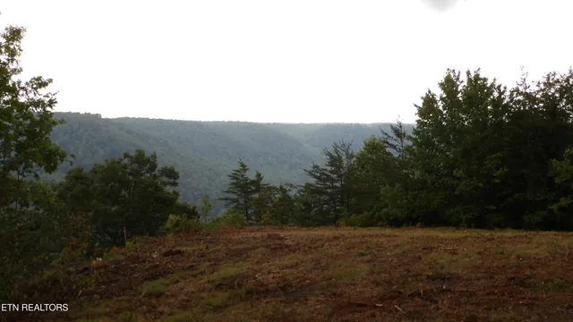 $159,000 | 442 Vly Vw Circle, Wilder, TN 38589