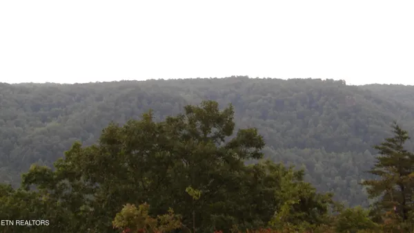 $159,000 | 442 Vly Vw Circle, Wilder, TN 38589