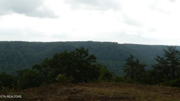$159,000 | 442 Vly Vw Circle, Wilder, TN 38589
