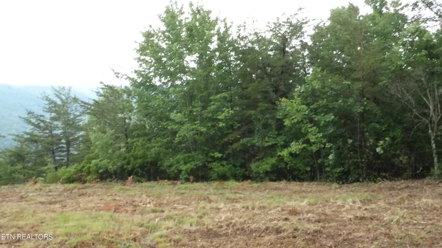 $159,000 | 442 Vly Vw Circle, Wilder, TN 38589