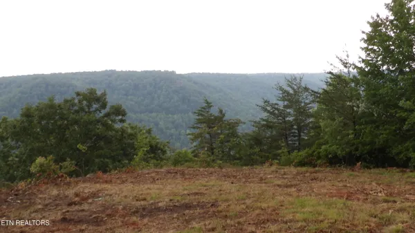 $159,000 | 442 Vly Vw Circle, Wilder, TN 38589