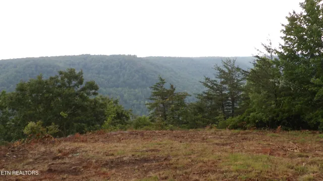 $159,000 | 442 Vly Vw Circle, Wilder, TN 38589