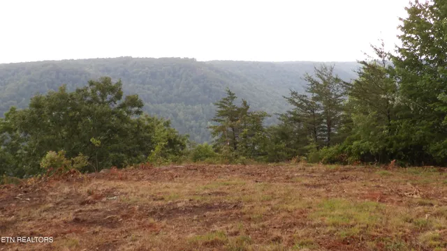 $159,000 | 442 Vly Vw Circle, Wilder, TN 38589