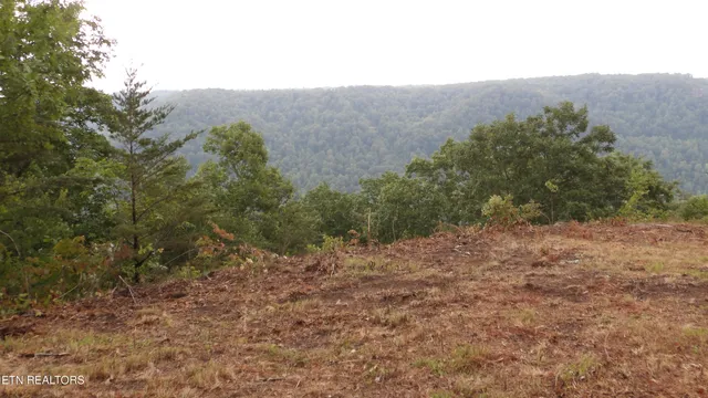 $159,000 | 442 Vly Vw Circle, Wilder, TN 38589