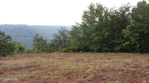 $159,000 | 442 Vly Vw Circle, Wilder, TN 38589