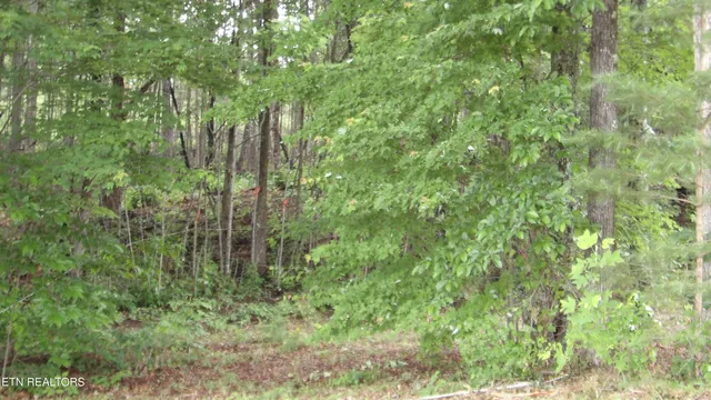 $159,000 | 442 Vly Vw Circle, Wilder, TN 38589