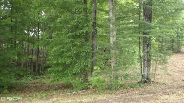$159,000 | 442 Vly Vw Circle, Wilder, TN 38589