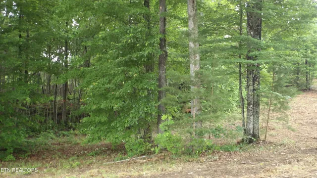 $159,000 | 442 Vly Vw Circle, Wilder, TN 38589