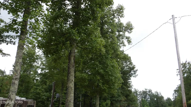 $159,000 | 442 Vly Vw Circle, Wilder, TN 38589