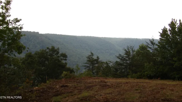 $159,000 | 442 Vly Vw Circle, Wilder, TN 38589