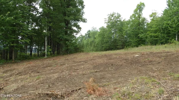 $159,000 | 442 Vly Vw Circle, Wilder, TN 38589