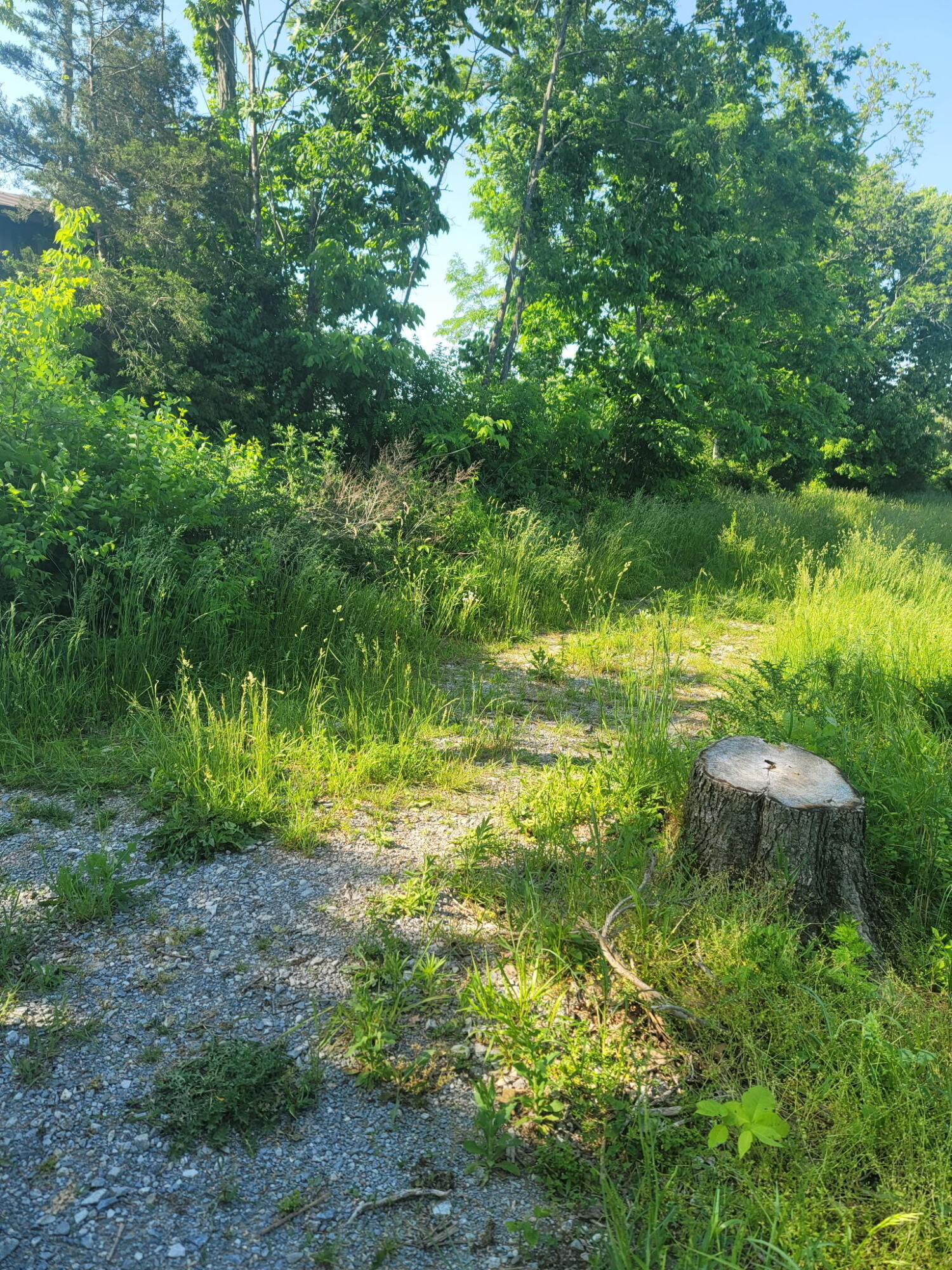 300 Goebel White Road Carlisle, KY 40311 - Photo 5 of 19 2474446346081921263