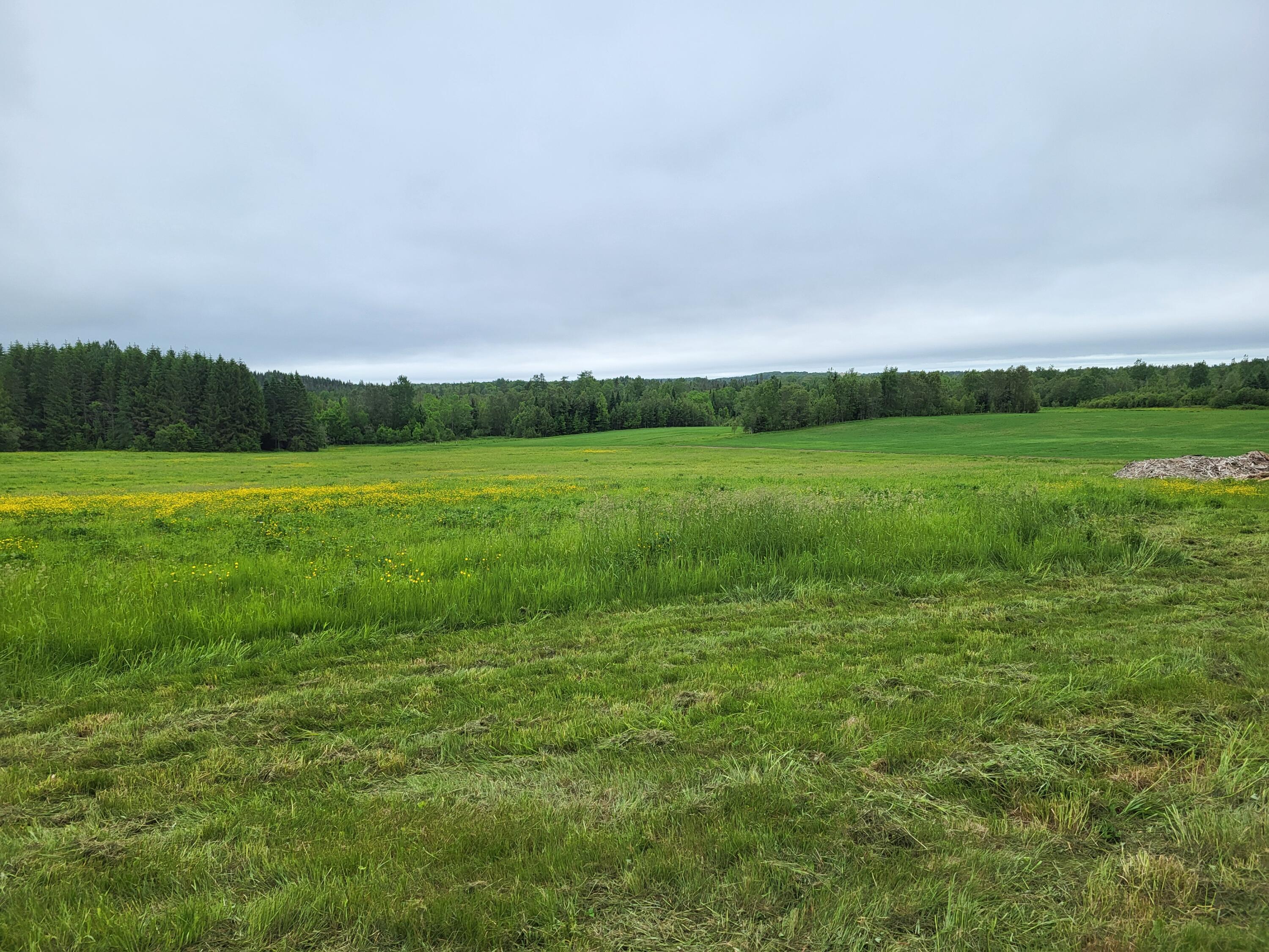 305 Fuller Road Easton, ME 04740 - Photo 24 of 79 1000039858