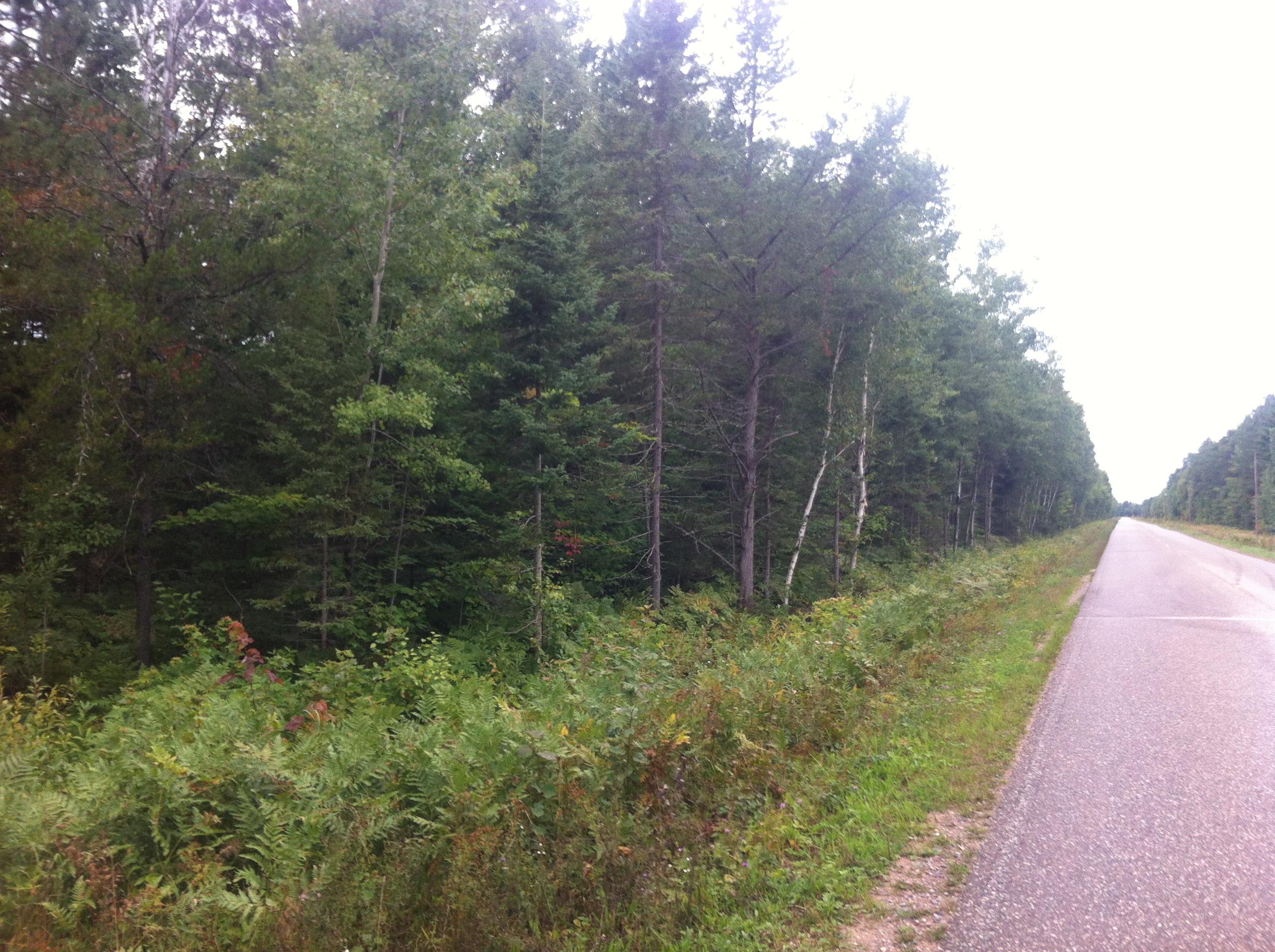 42.65-acre South Homestead Road Sault Ste. Marie, MI 49783 - Photo 1 of 4 Gallery Image 1