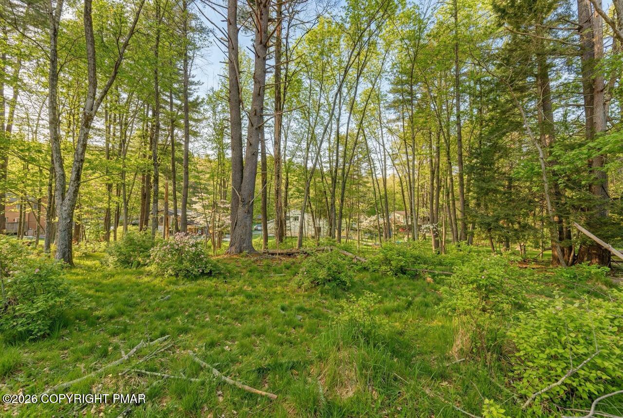 108 Mink Lane Bushkill, PA 18324 - Photo 34 of 40 108 Mink Ln 31 Spring Large