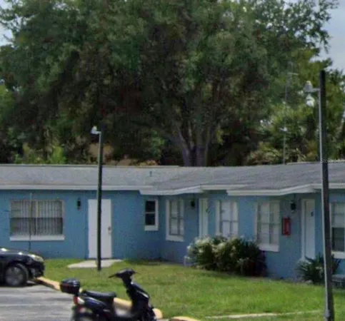 a view of a yard in front of a house with plants and large tree