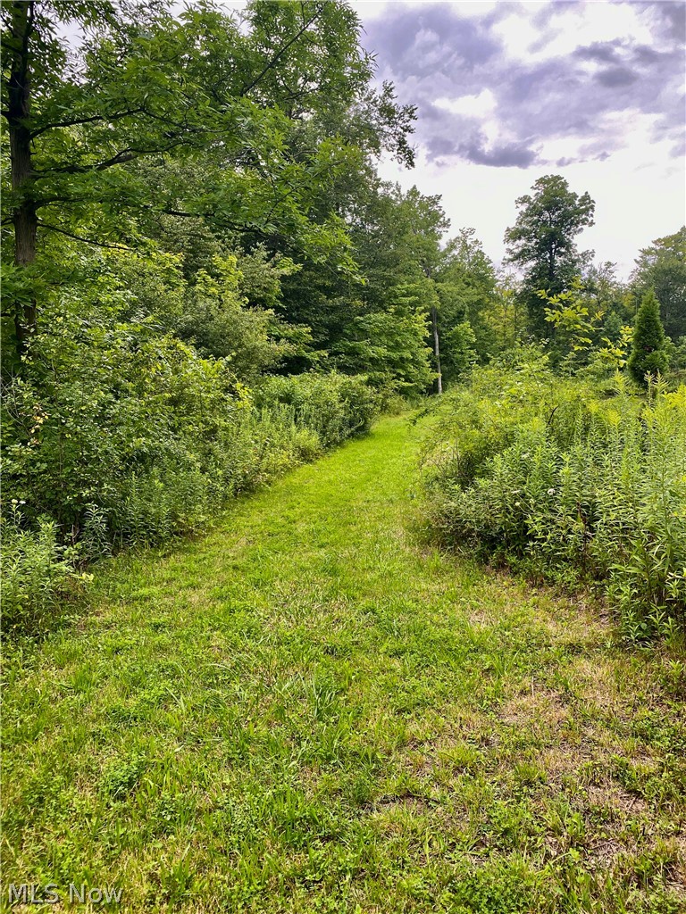 0 Fowlers Mill Road Chardon, OH 44024 - Photo 3 of 18 Gallery Image 3