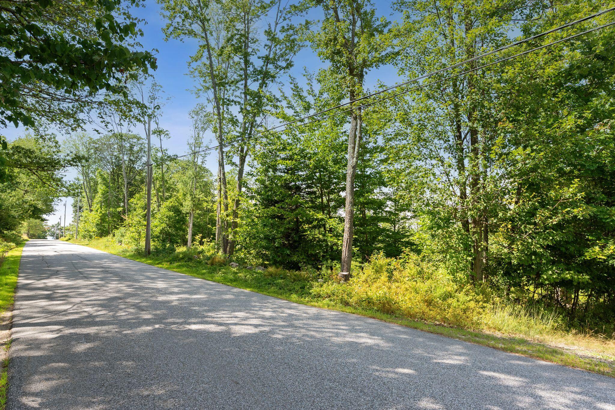 Lot 3 Mudgett Road Parsonsfield, ME 04047 - Photo 4 of 9 3_DSC04219