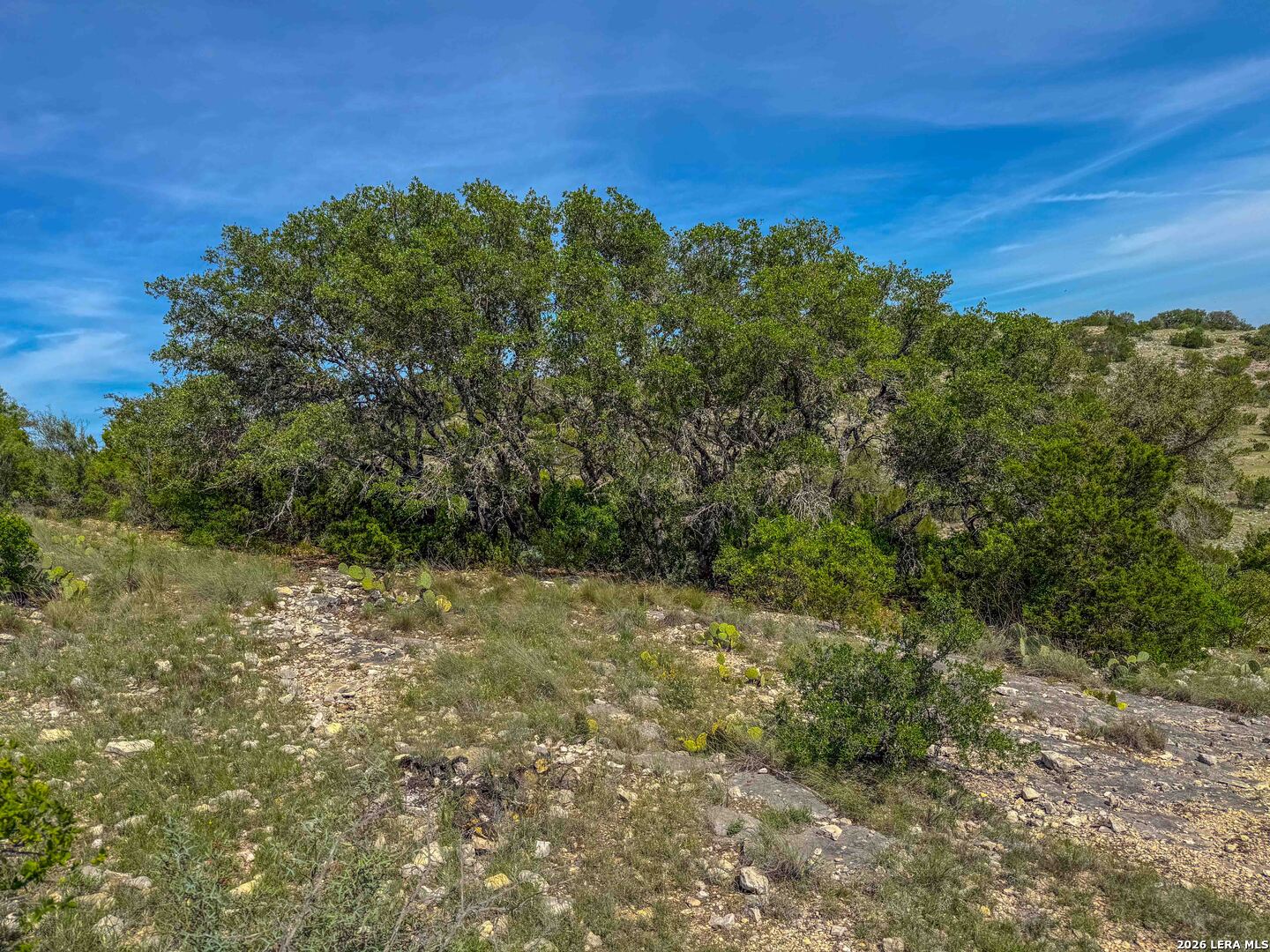 0 West Sd 45425 Rocksprings, TX 78880 - Photo 11 of 23