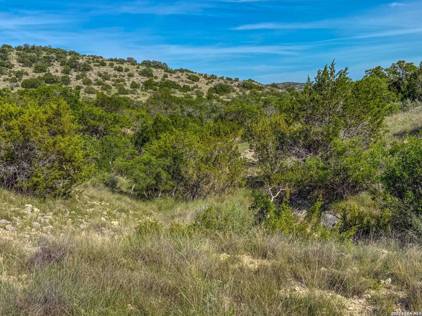 0 West Sd 45425 Rocksprings, TX 78880 - Photo 6 of 23