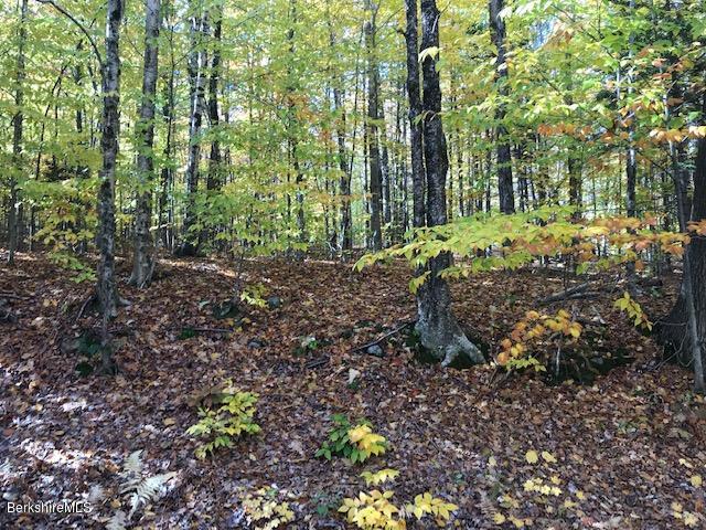 Lot#20 Church Road Florida, MA 01247 - Photo 3 of 6 a garden with lots of trees