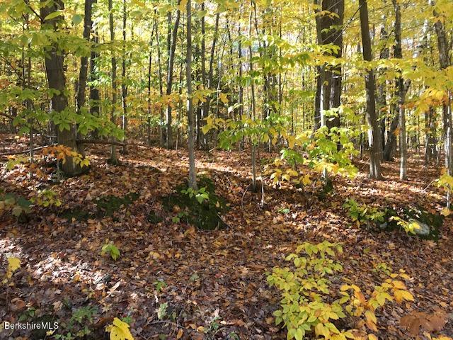 Lot#20 Church Road Florida, MA 01247 - Photo 4 of 6