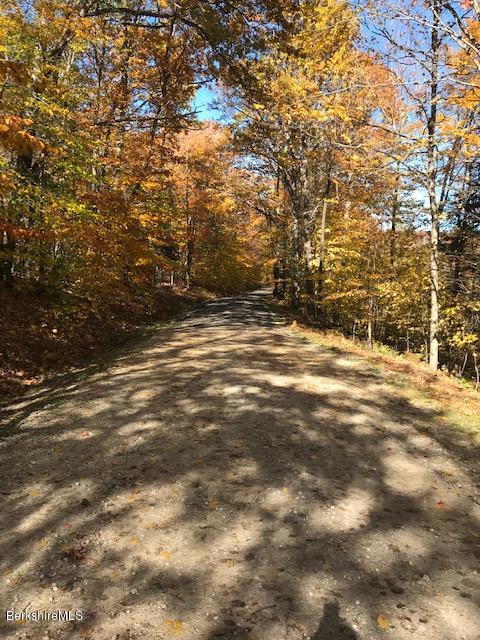 Lot#20 Church Road Florida, MA 01247 - Photo 6 of 6 a view of road and yard