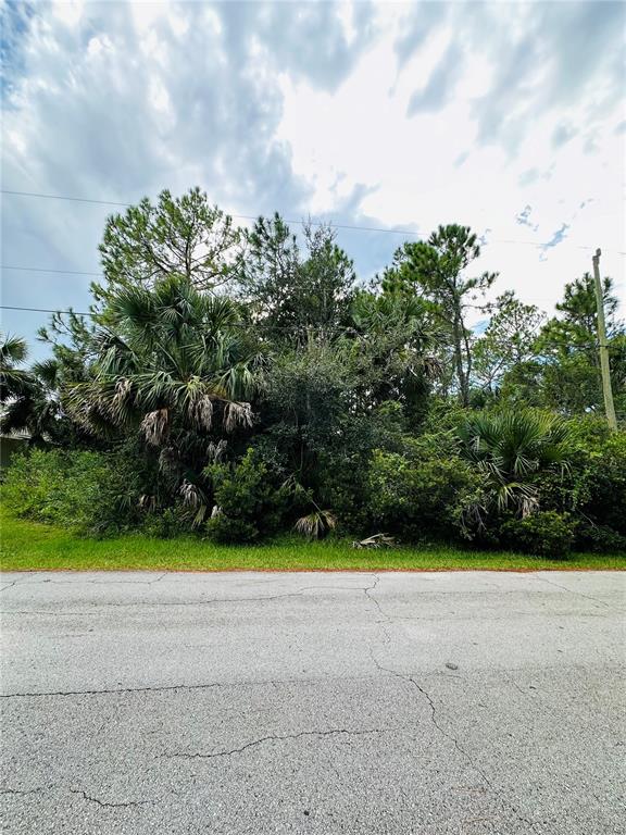 3 Seattle Trail Palm Coast, FL 32164 - Photo 11 of 16 a view of a yard and basketball court