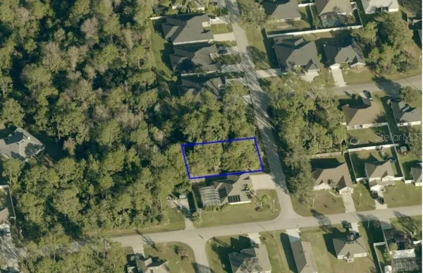 a view of a yard with a plant in the background