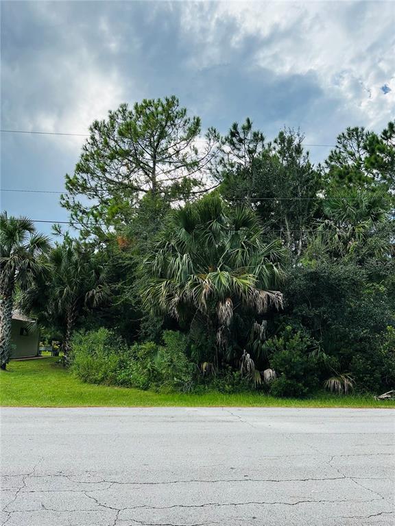 3 Seattle Trail Palm Coast, FL 32164 - Photo 14 of 16 a view of a yard with a plant in the background