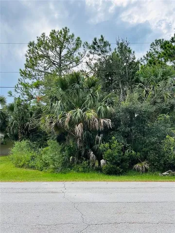 a view of a yard with plants and large trees