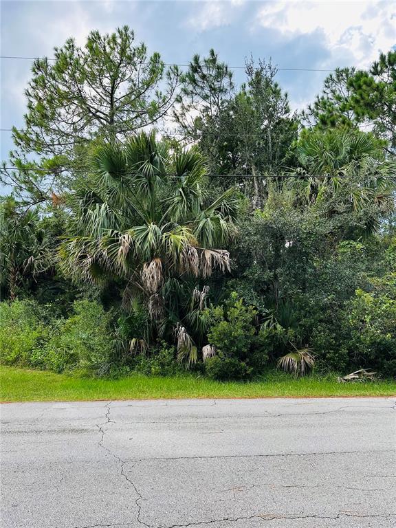 3 Seattle Trail Palm Coast, FL 32164 - Photo 6 of 16 a view of outdoor space and yard
