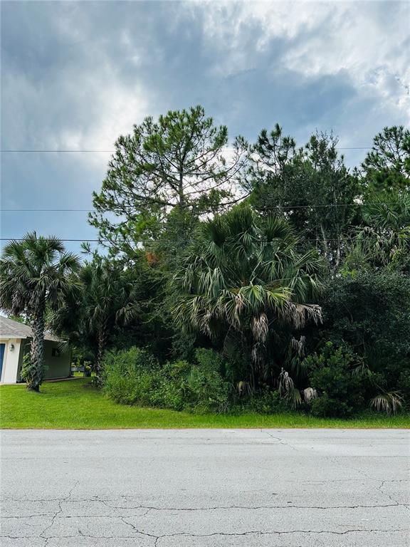 3 Seattle Trail Palm Coast, FL 32164 - Photo 7 of 16 a view of a yard